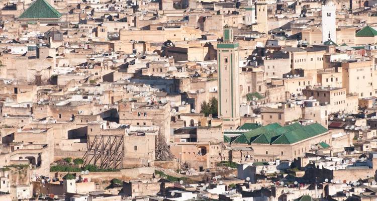 Aerial view of old city with green roofs