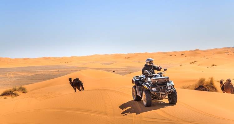 Person on an ATV exploring sand dunes, with camels in the background.