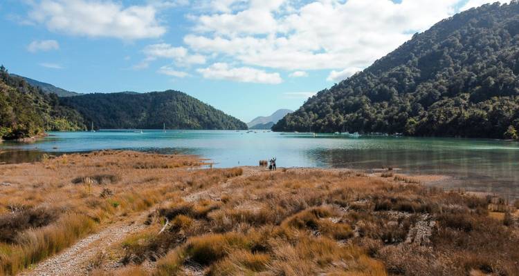 Petit groupe se tenant sur une langue de terre herbeuse à côté d'une baie turquoise calme bordée de collines boisées
