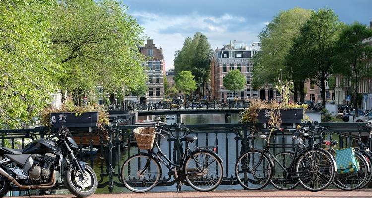 Fietsen vastgemaakt aan een kanaalbruggetje met bladrijke bomen en grachtenpanden in het centrum van Amsterdam.