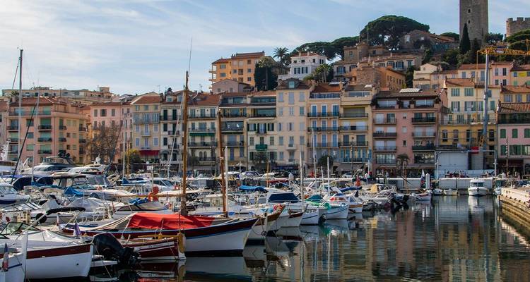Der alte Hafen von Cannes, gefüllt mit farbenfrohen Fischerbooten und Yachten, im Hintergrund pastellfarbene Mittelmeergebäude und ein Turm auf einem Hügel.