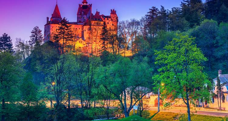 Bran Castle illuminated in warm lights at twilight, surrounded by dense forest.