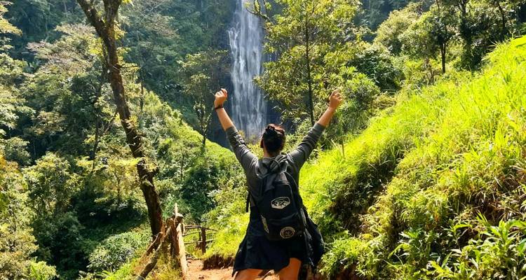 Excursionista alegre con los brazos alzados frente a una alta cascada de la selva a lo largo de un sendero verde y exuberante.