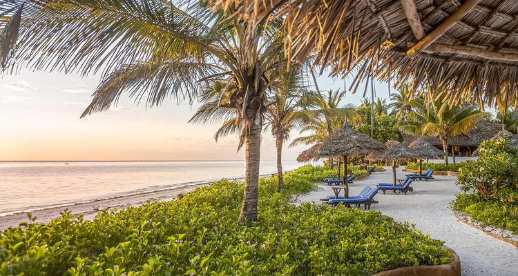 Playa con sillas de descanso y palmeras al atardecer.