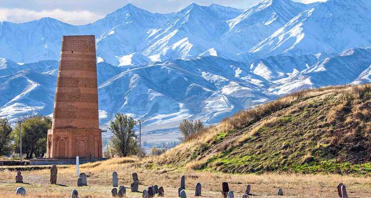 A historical tower against a backdrop of snowy mountains.
