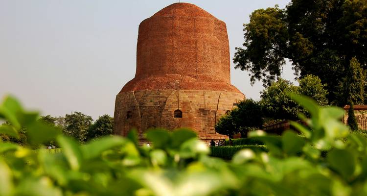 Große zylindrische Stupa mit umgebender Vegetation.