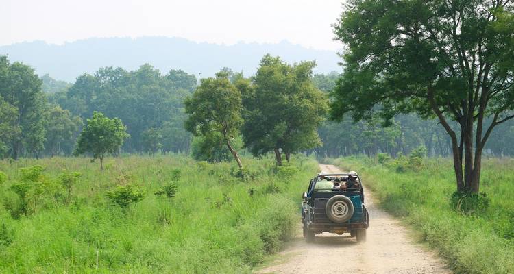Een open jeep met toeristen rijdt over een zandpad door weelderige groene jungle.