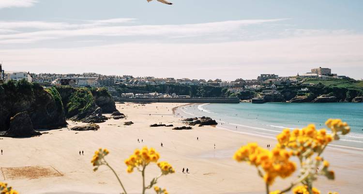 Breiter Sandstrand mit entfernten Klippen und sonnigem Himmel.