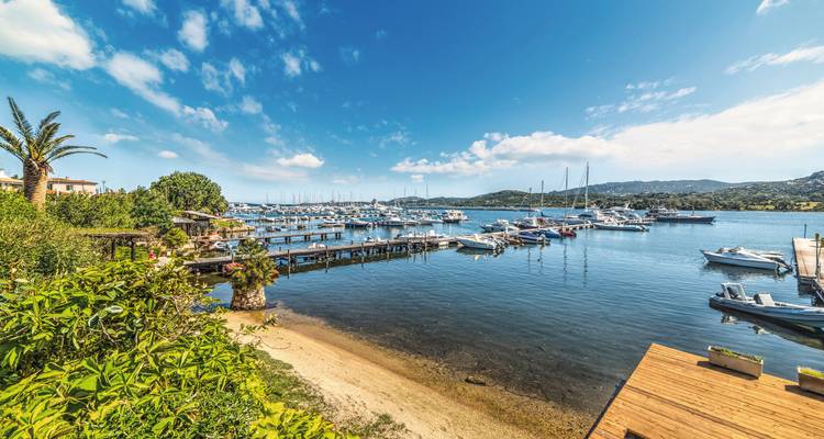 Marina con yates y entorno exuberante.