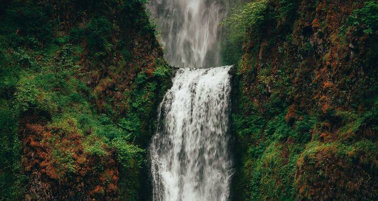 Cascada alta y angosta que se desploma entre acantilados de basalto cubiertos de musgo hacia una piscina sombreada.