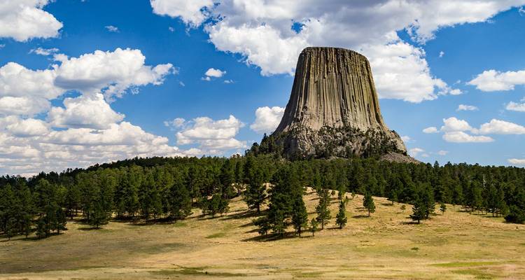 Le monolithe volcanique impressionnant de la Tour du Diable s'élève dramatiquement au-dessus de la forêt de pins environnante sous un ciel parsemé d'étoiles.
