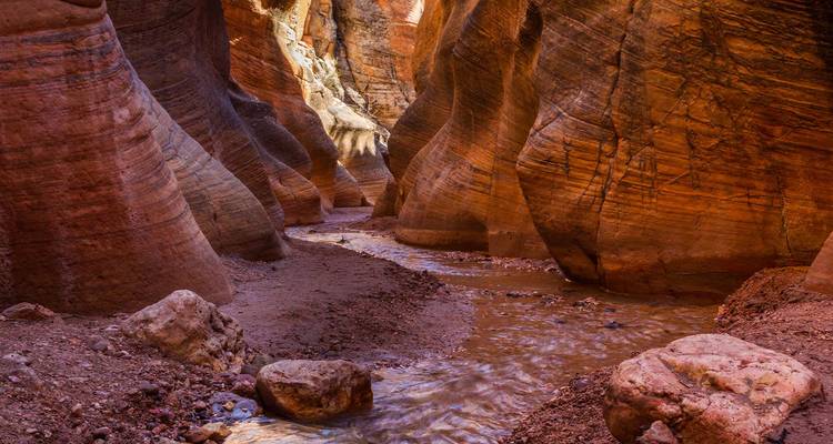 Angosto cañón de grieta rojizo con un arroyo poco profundo que serpentea entre paredes de roca suave y curvas.