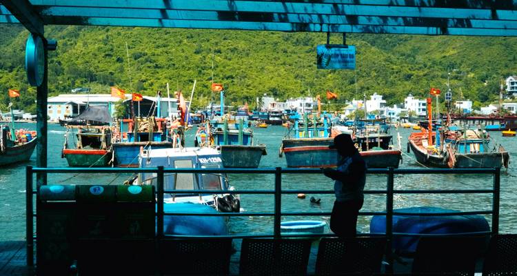 Colorful fishing boats line a coastal harbour, viewed from a shaded pier where a silhouette checks a phone.