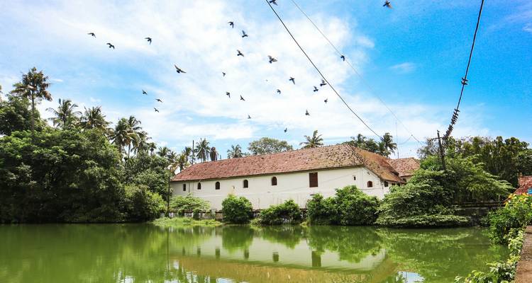 Bâtiment blanc près d'un étang réfléchissant avec des oiseaux qui volent au-dessus.