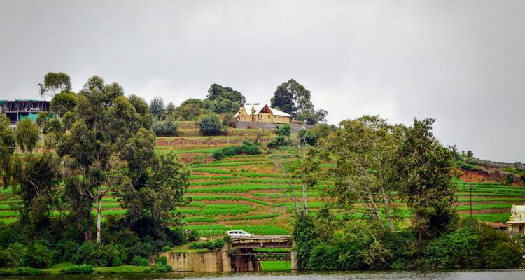 Landelijk landschap met velden en kleine gebouwen.