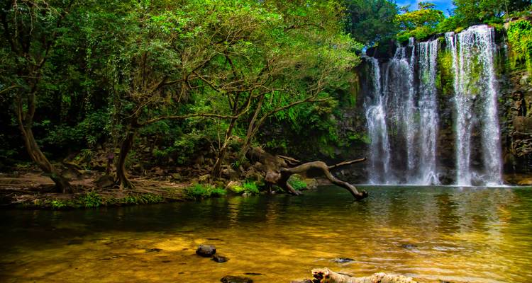 Wasserfall umgeben von üppigem grünem Wald.
