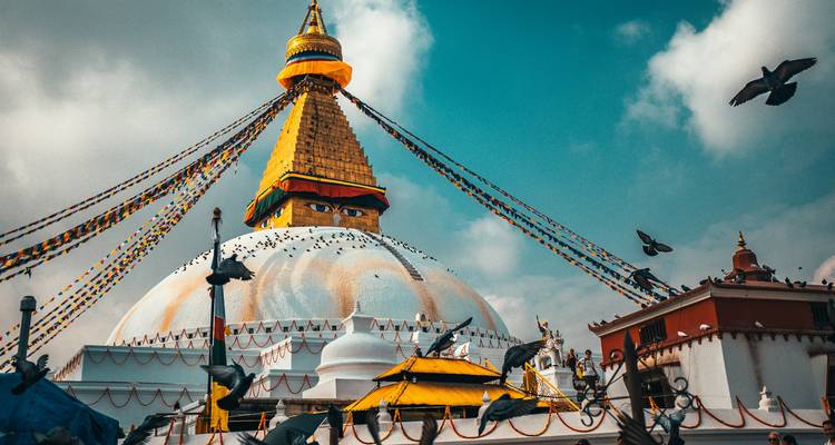 Baudhanāth Stupa umgeben von Tauben und Gebetsfahnen.