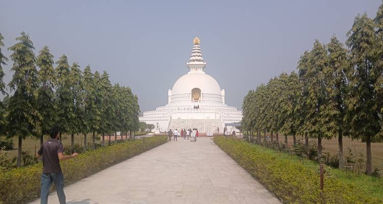 Eine weiße Struktur mit einem Pagodendach, umgeben von Grün.