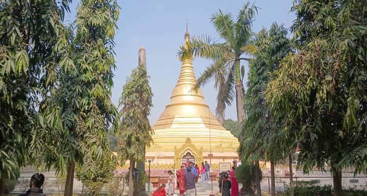 Eine goldene Stupa, umgeben von Palmen und Besuchern.