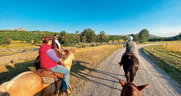 People riding horses along a trail with scenic views.