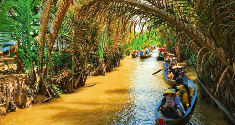 Bootstour durch dichte Palmen im Mekong-Delta.