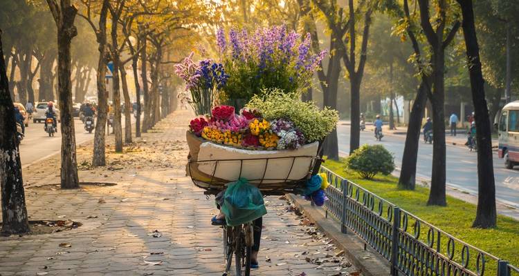 Fahrrad mit einem Korb voller bunter Blumen auf einer baumgesäumten Allee.