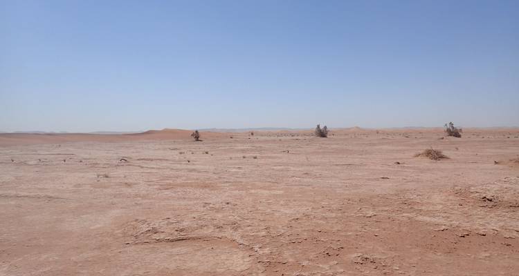 Trostlose Wüstenlandschaft mit spärlicher Vegetation.