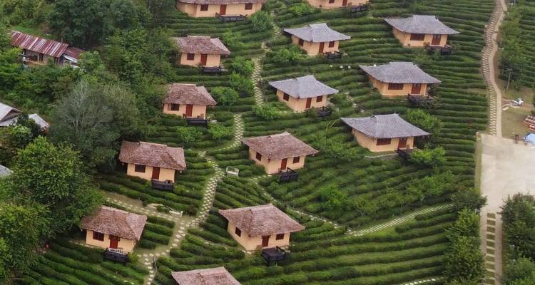 An aerial view of hillside tea plantations dotted with traditional clay cottages forming a picturesque village.
