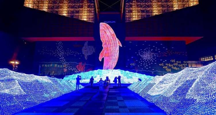 Escena nocturna de una exhibición de delfín LED iluminada con olas azules brillantes y visitantes caminando a través de la instalación de luz.