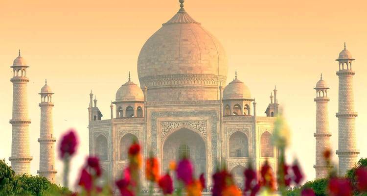 Le Taj Mahal entouré de fleurs sous un ciel chaleureux.