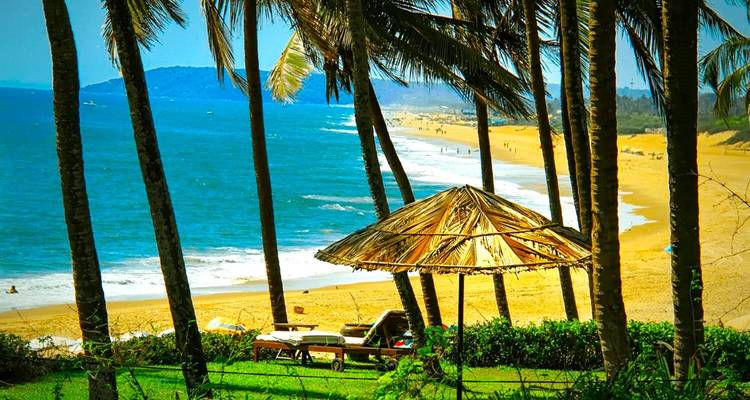 Vue sur la plage avec des palmiers et un parasol en chaume.
