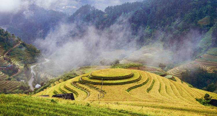 Terrasvormige rijstvelden in een bergachtig gebied met mist die oprijst van de heuvels.