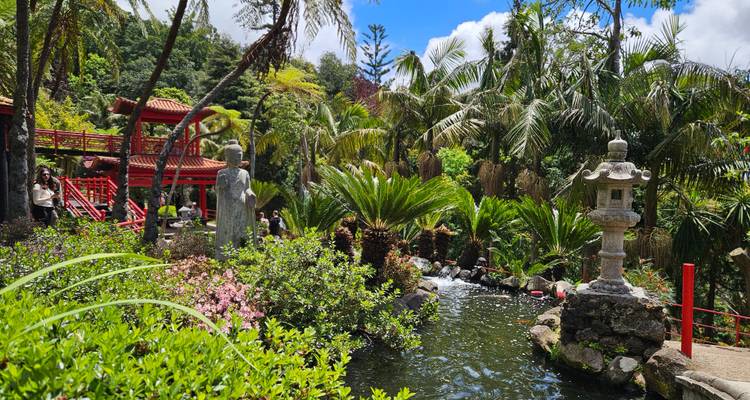 Oriental-style garden with red pagoda, stone lantern and flowing stream surrounded by tropical plants