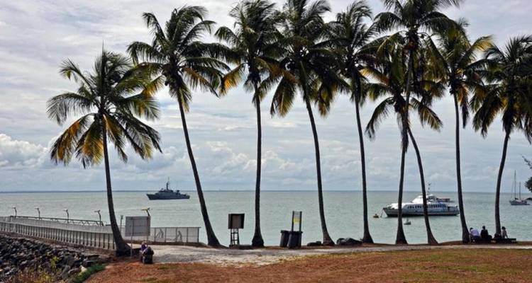 Palm trees by the beach with a ship and boat in the distance.