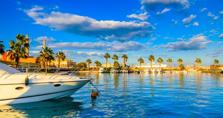 Scenic view of a waterfront with boats and palm trees under a blue sky.