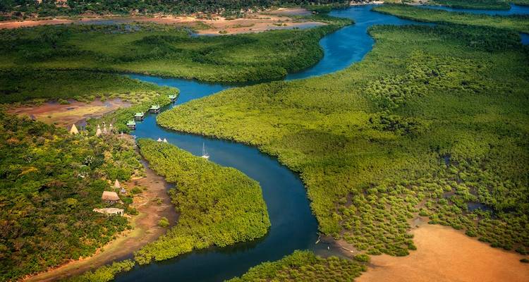Vue aérienne d'une rivière sinueuse traversant un paysage verdoyant luxuriant.