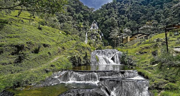 Waterfall cascading into pools in a lush forest setting.