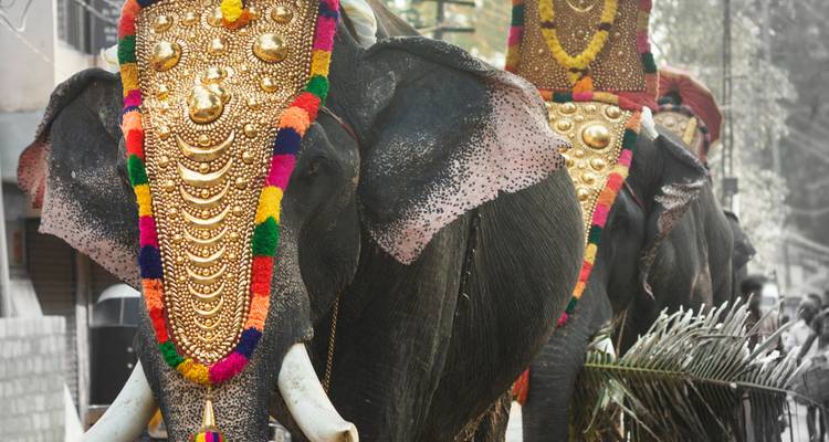 Elephants adorned with colorful ornaments and decorations.