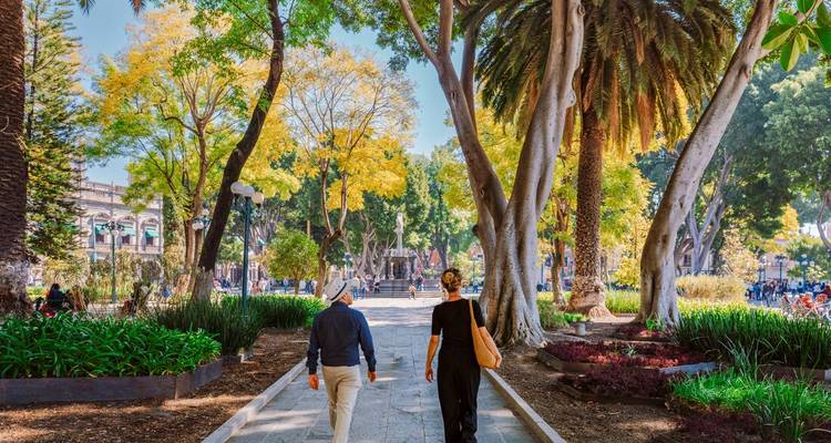 Un hombre y una mujer pasean por un bulevar urbano frondoso bordeado de altas palmeras y plátanos en un día soleado.