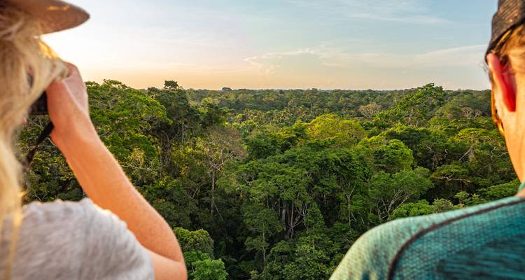 Travellers observe endless Amazon canopy bathed in soft sunset light from elevated platform.