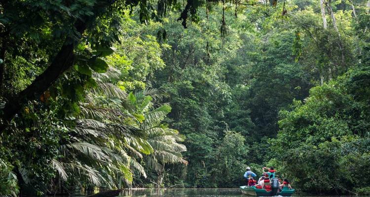 Los turistas en botes pequeños reman por un estrecho canal de la selva rodeado de una densa selva tropical verde.