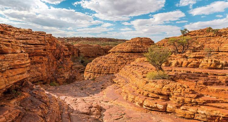 Erodierte rote Felsformationen im Kings Canyon.