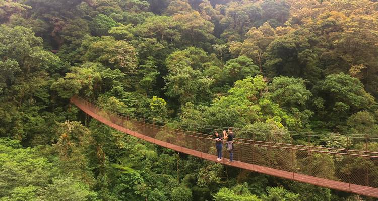 Dos personas cruzando un puente colgante en medio de un bosque denso.