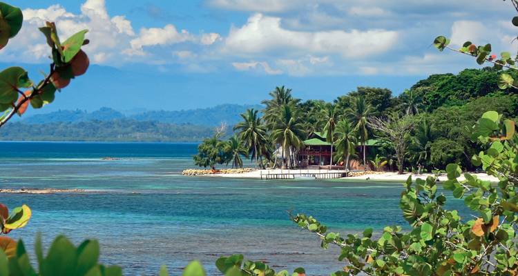 Una playa pintoresca con palmeras y una isla distante.