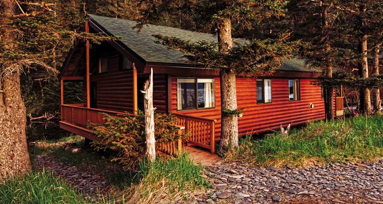 Holzhütte in einer Waldumgebung, umgeben von Grün.