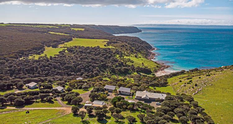 Vue aérienne d'un paysage côtier avec colline.