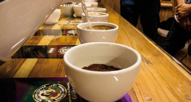 Cups with coffee and a hand pouring water at a tasting event.