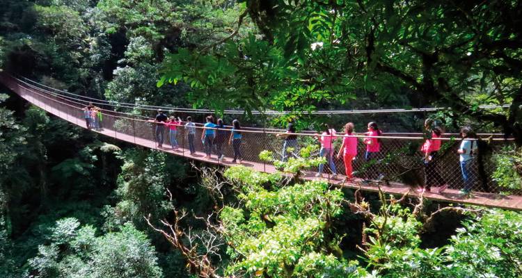 Gruppe von Menschen, die über eine Hängebrücke durch üppigen Wald gehen.