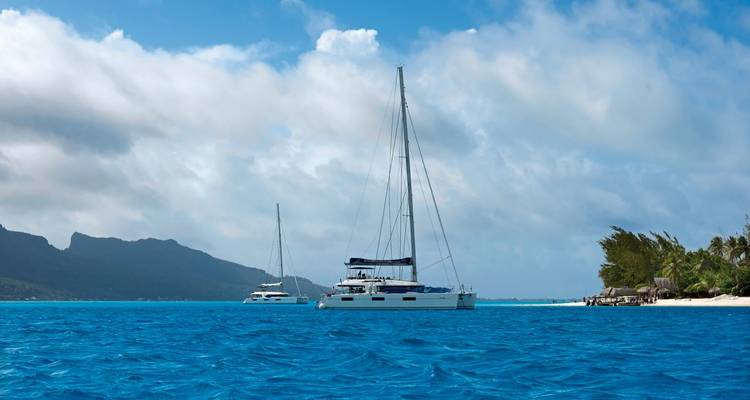 Sailboats on the open sea with lush greenery on shore.