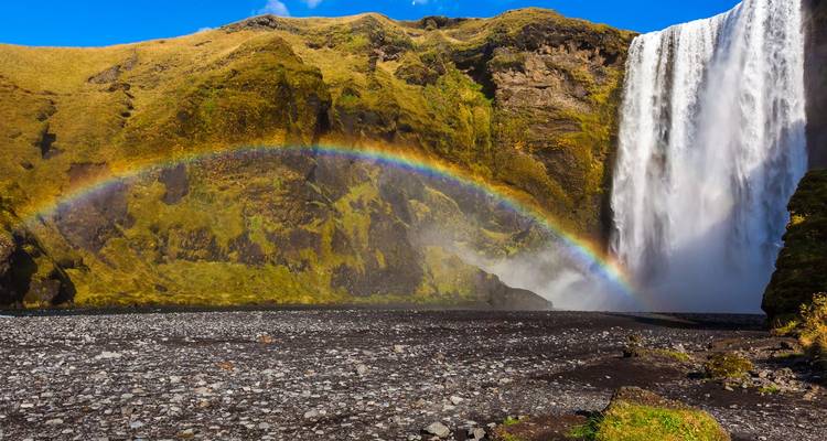 Skógafoss waterfall plunging with a vivid rainbow arching across the misty base.